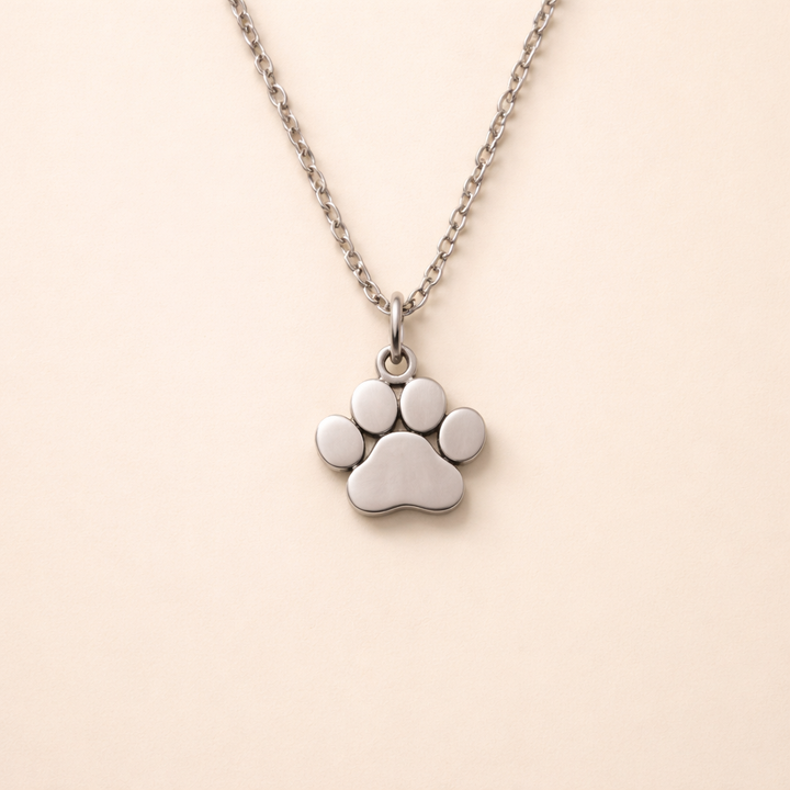 Elegante Zilveren Poot Ketting – Roestvrij Staal